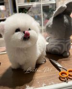 [LLP-0001] Mini Bichon đực - Ảnh 4